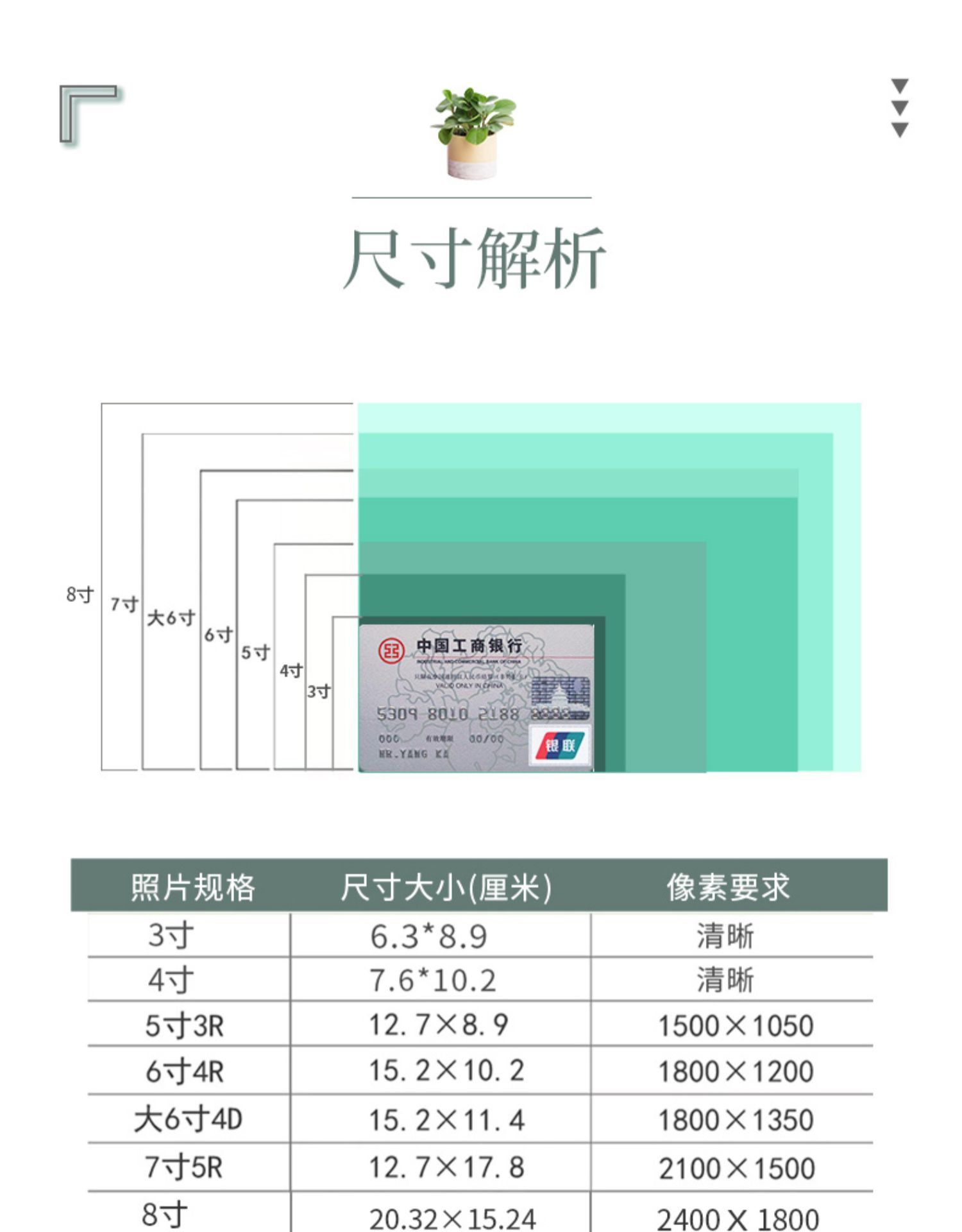 7寸照片参照物有多大图片