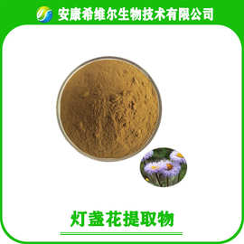 灯盏花提取物 灯盏花素 灯盏花粉 500g/袋 短葶飞蓬粉