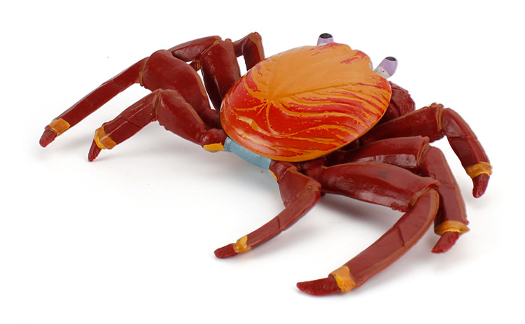 跨境仿真海洋生物螃蟹模型趣味帝王蟹寄居蟹椰子蟹多款手办摆件