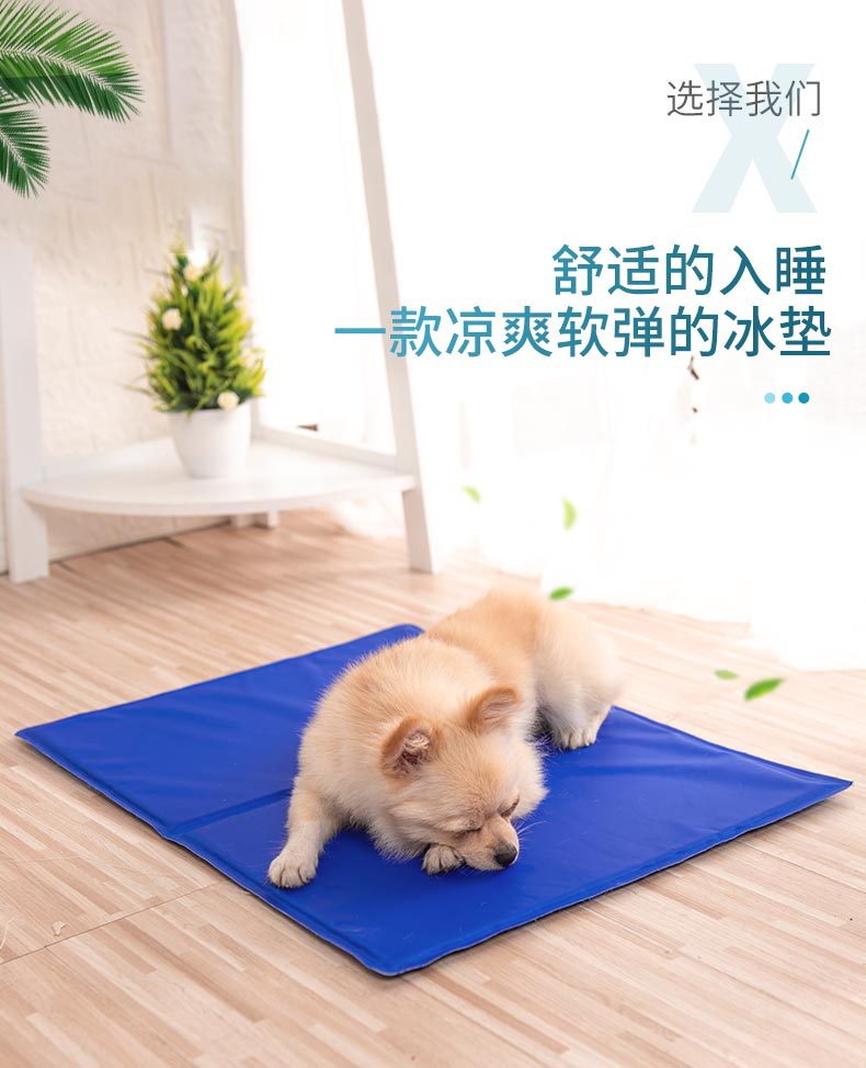 Amazon Summer Pet Ice Mat Dog/Cat Cool Cooling Product Seat Cushion Cool Pad Ice Mat Manufacturers Can Process