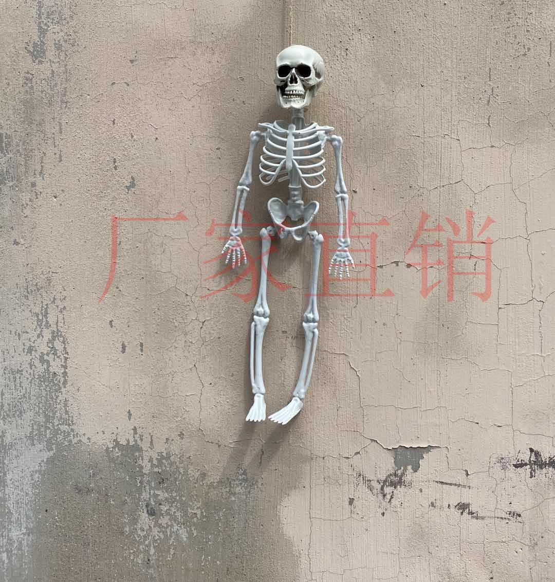 骷髅骨架子万圣节厂家经销人体骨骼骷髅骨架摆件整蛊鬼屋道具装饰
