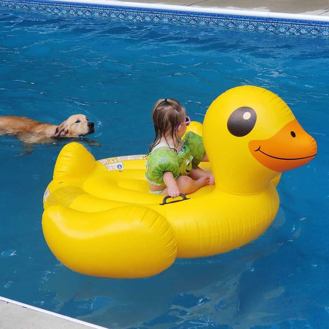intex56286大黄鸭座骑 充气动物坐骑儿童成人水上戏水玩具