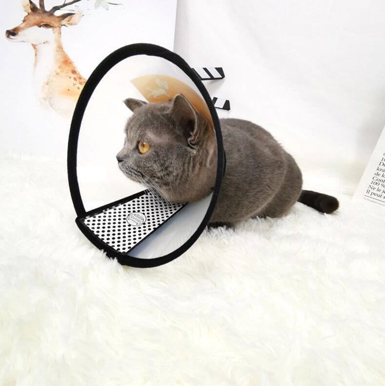 宠物用品伊丽莎白圈猫狗头防护罩保护脖套美容防咬圈防舔咬可代发