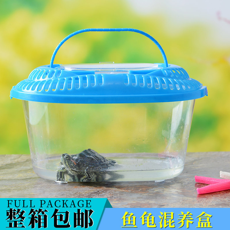 大号简易型塑料小鱼缸 塑料乌龟缸 小爬虫盒子塑料宠物盒