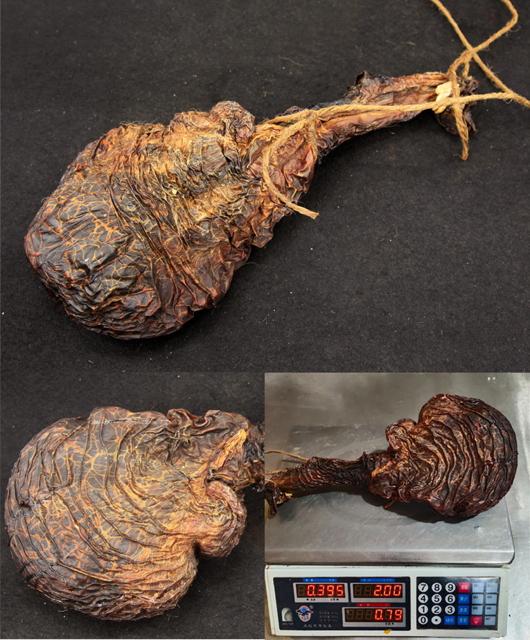 吉林鹿乡批发【鹿胎100只大货】梅花鹿胎盘血鲜鹿胎招全国代理