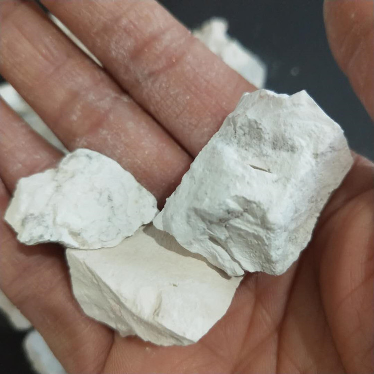 ca(oh)2   co2 = caco3↓   h2o石灰石的主要成分是碳酸钙,经煅烧得到