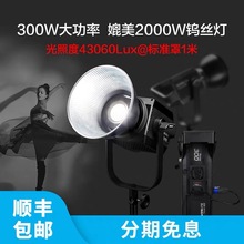 nanlite南光Forza300W LED摄影灯柔光灯摄影棚拍照南冠补光灯摄像