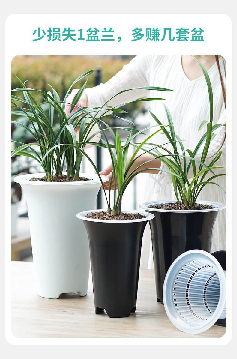 厂家直销 美莳控根兰花盆 兰花专用盆 双层盆透气透水 塑料兰花盆