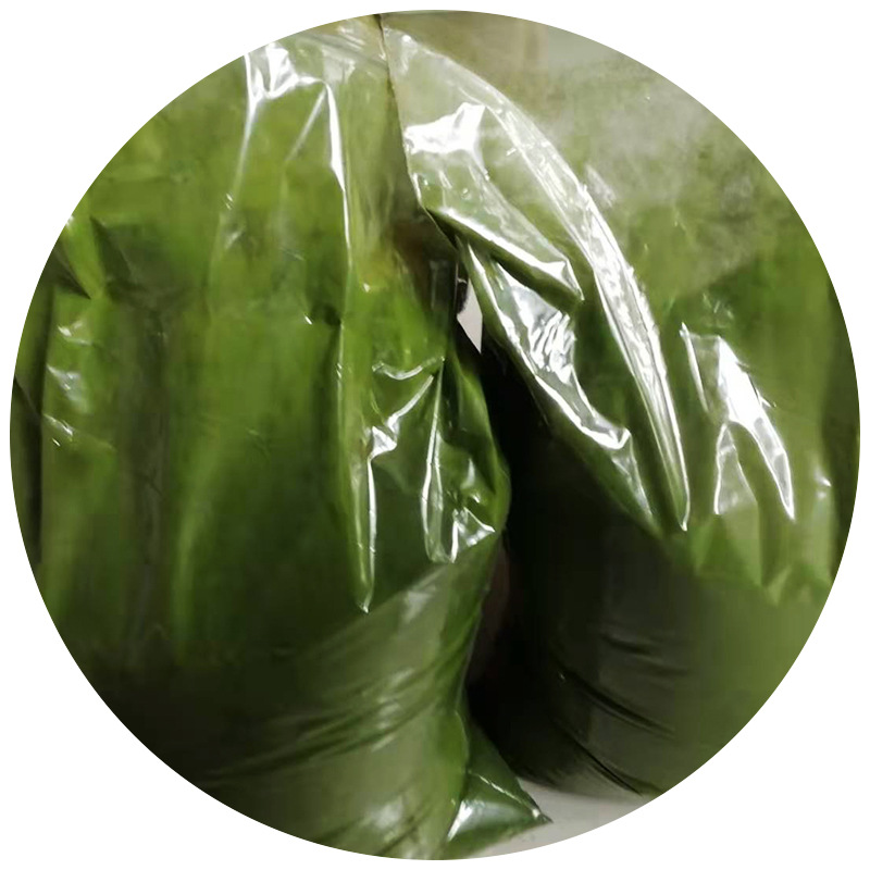 微拟绿球藻的属名是chlorella/天健生物好品质小球藻 蛋白核绿藻