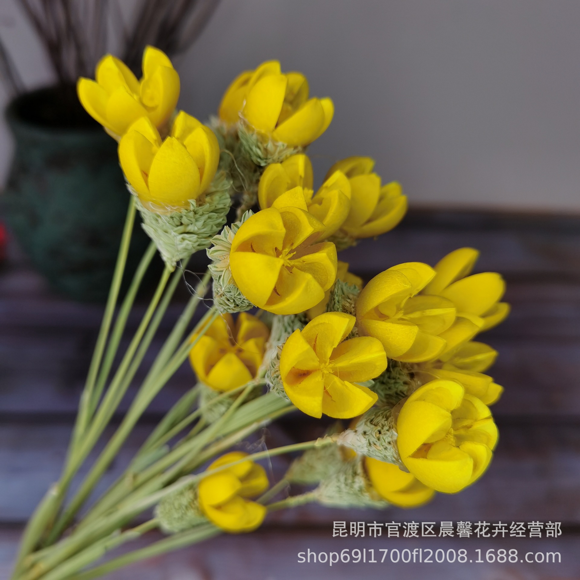 批发云南干花 花束搭配干花 家居装饰花 紫薇花 /开心果