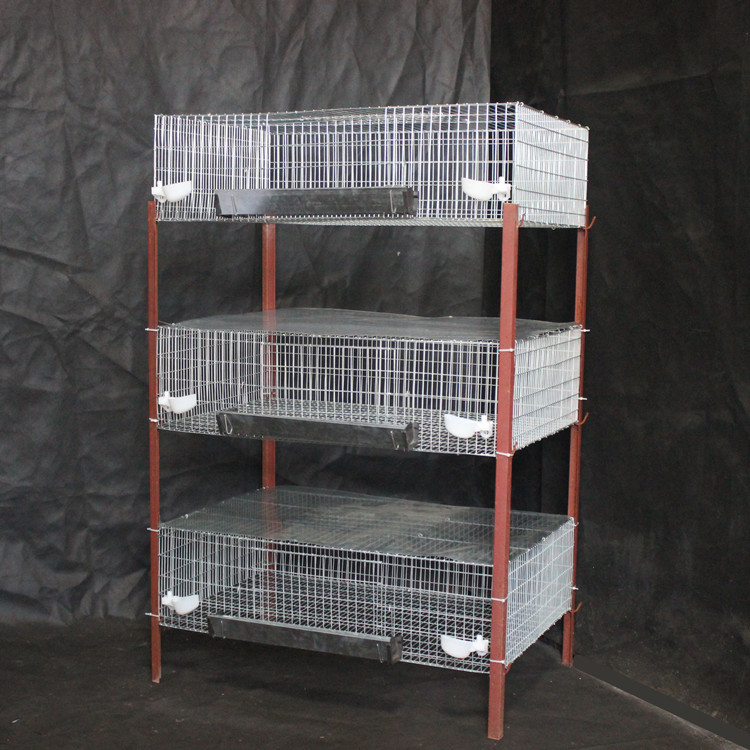 肉鹌鹑养殖笼 鹧鸪雏鸡育雏养殖运输 加粗加密优质镀锌双门钢丝笼