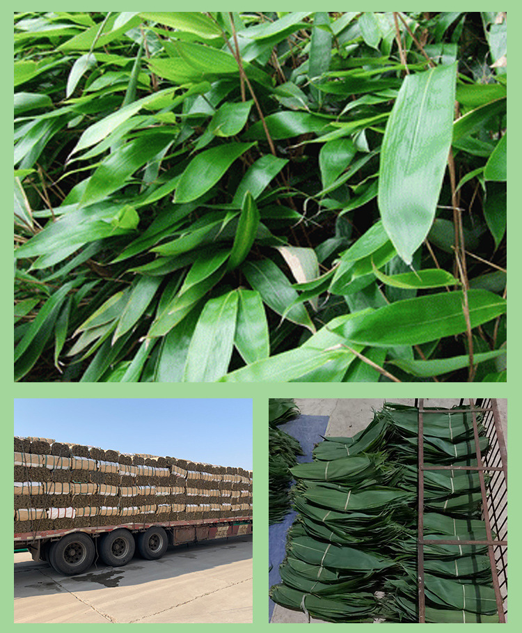 批发自然烘干粽叶麻竹叶箬叶干粽叶 新鲜现货散装真空包装 粽叶