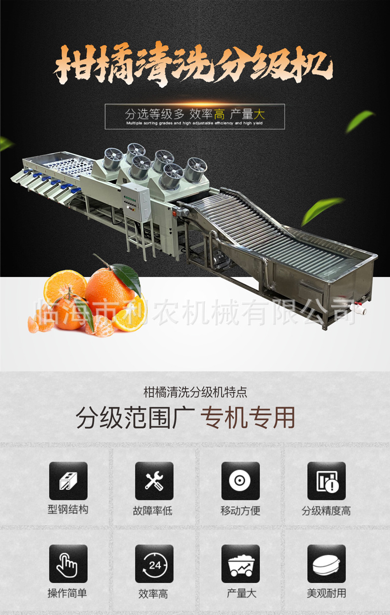 柑橘清洗分级机桔子筛选设备橘子分选机