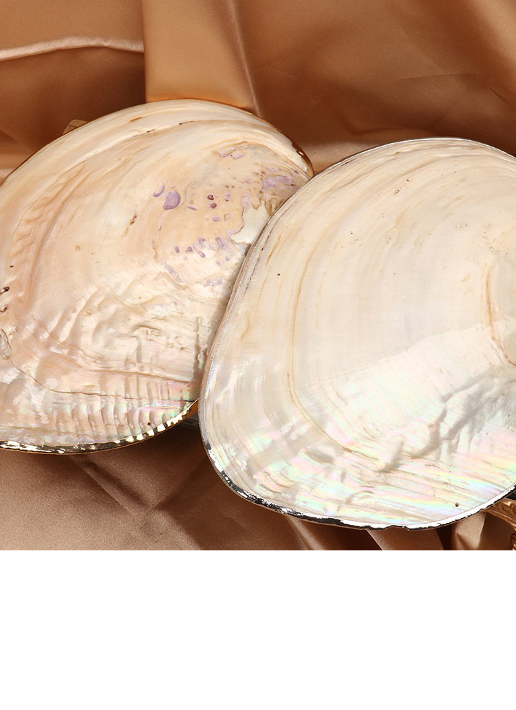 天然淡水珍珠河蚌贝壳鎏金摆件工艺品