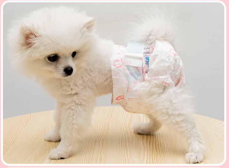 宠物纸尿裤猫用母猫咪防孕姨妈月经卫生裤小型犬狗狗尿不湿生理裤