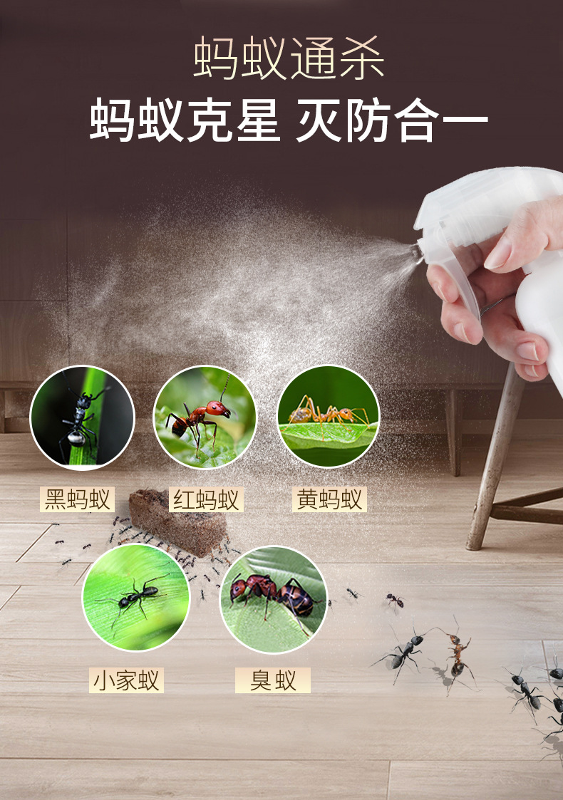 灭蚂蚁药水灭杀大小蚂蚁药家用除红蚂蚁小蚂蚁驱杀蚂蚁杀虫剂批发