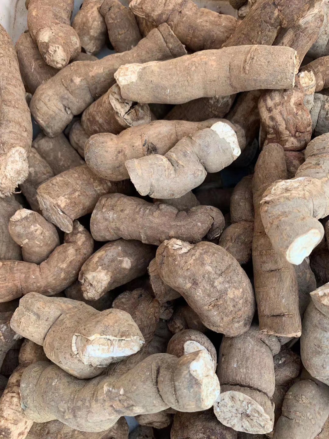 防己fangji 产地江西省吉安市 11月产新160元每公斤包邮粉防己