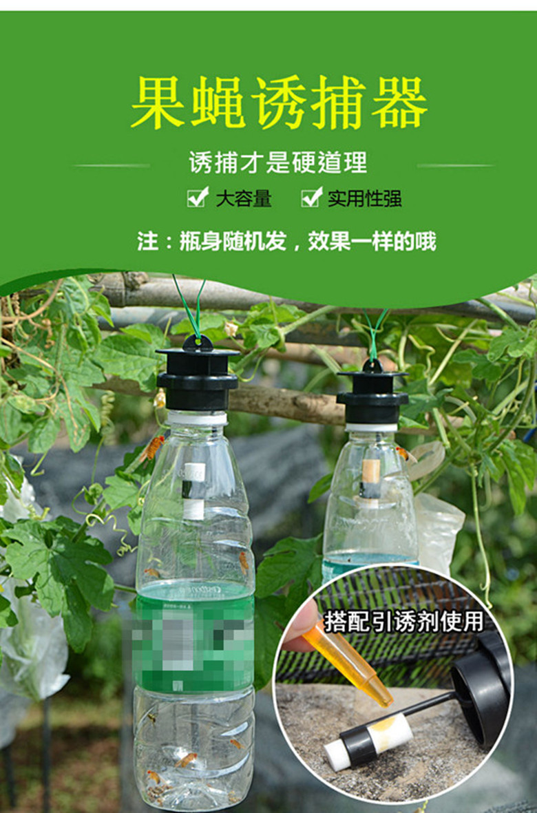 果蝇针蜂诱捕器果实蝇瓜果蔬菜花卉防虫诱虫性诱剂药水捕抓捉容器