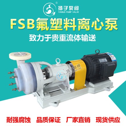 厂家直售FSB氟塑料离心泵耐腐蚀高扬程大流量化工泵免维护全塑泵