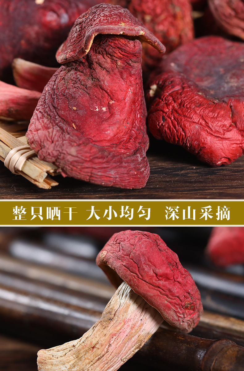 云南特产野生大红菌中菇干货 半开红蘑菇酒店餐厅食用菌产地批发