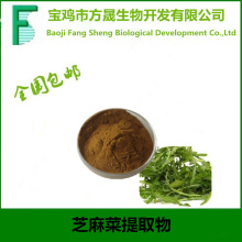 10:1芝麻菜提取物/臭菜提取物/东北臭菜提取物，水溶现货1kg起订