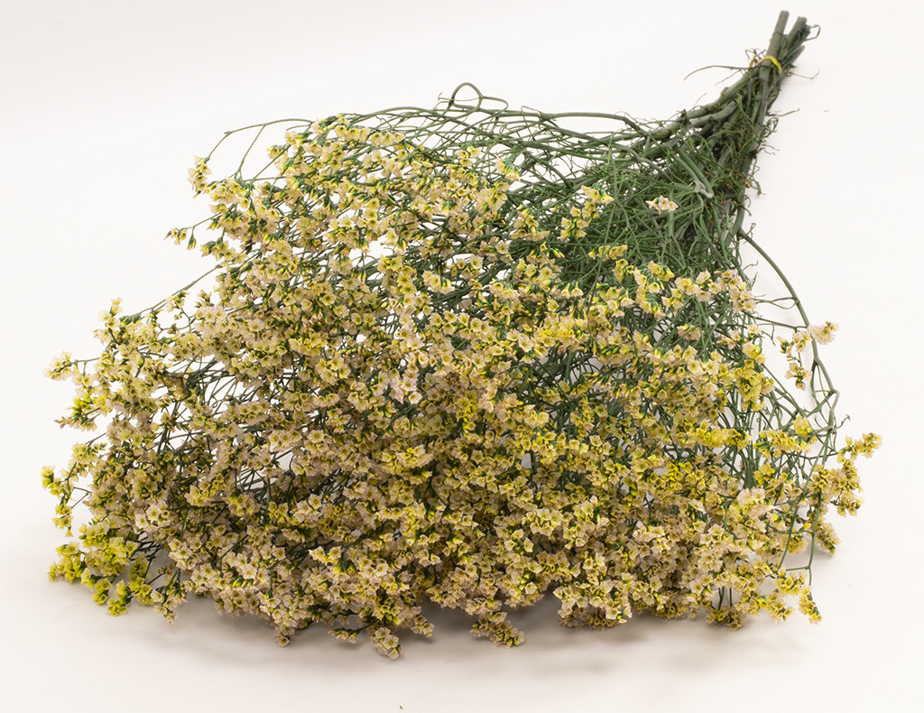 水晶草干花批发云南优质永生花保鲜花染色水晶草家居装饰花束批发