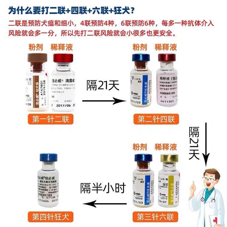 辉瑞妙三多卫佳五卫佳捌疫苗幼猫体内外用一件代发