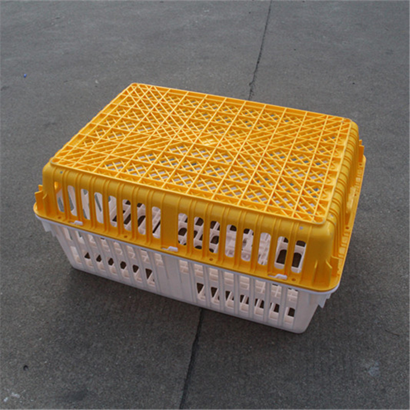 直供湖南岳阳加厚塑料鸡笼 常德加强型网格35cm鸭鹅运输周转笼