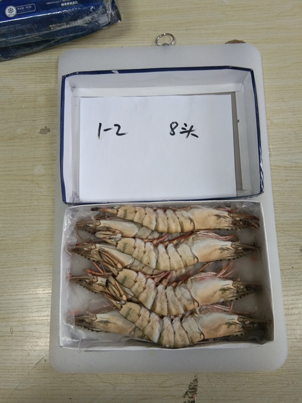 黑虎虾草虾斑节虾生冻黑虎虾一盒净重650克 2盒起部分城市包运费