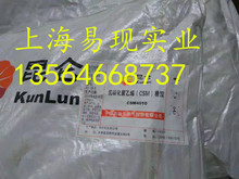 橡胶水池专用氯磺化聚乙烯2300   低氯含量氯磺化聚乙烯2300