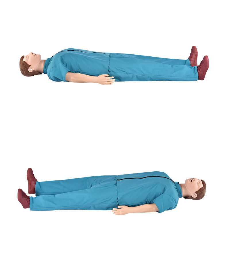 心肺复苏模拟人心肺复苏模型人体教学模型人工呼吸模拟人硬塑箱