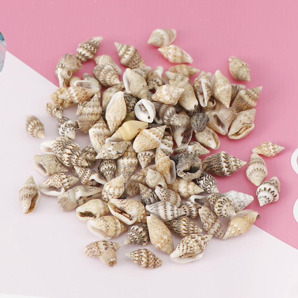 天然小海螺 花米螺贝壳装饰物40g/盒水族箱鱼缸装饰物diy手工配件
