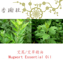 法国进口艾草/艾蒿精油Mugwort 美容 香薰 手工皂 单方精油10ML