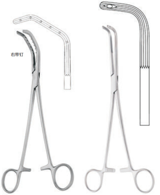 支气管钳 医用手术钳 直角气管钳 带钉手术钳 全科手术器械