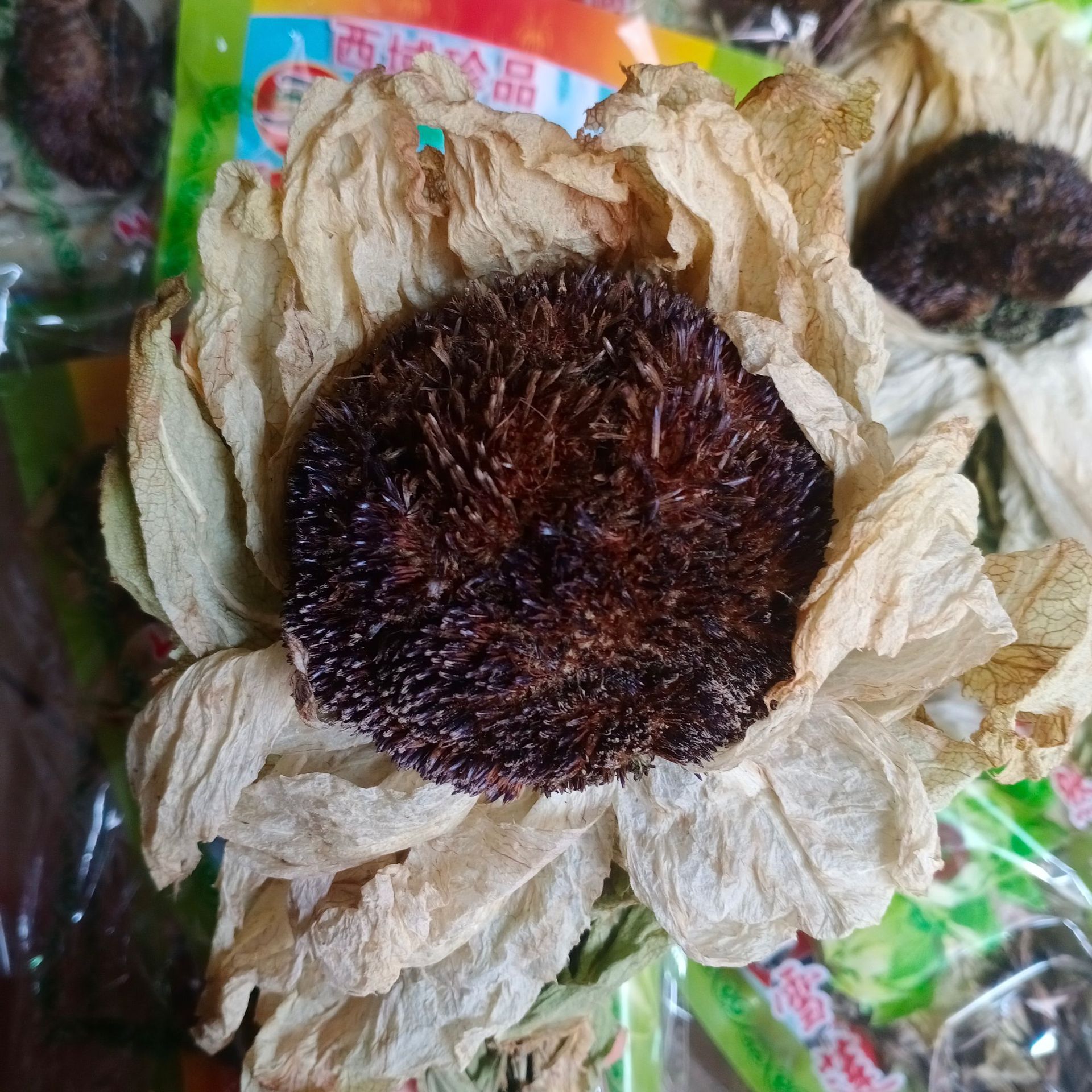 新货雪莲花,大货批发天山雪莲花. 新疆产雪莲花, 大朵雪莲花