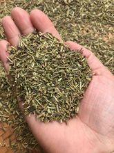 2023年茶枝去味茶叶梗除味茶梗绿茶梗吸味茶叶装修茶杆子茶