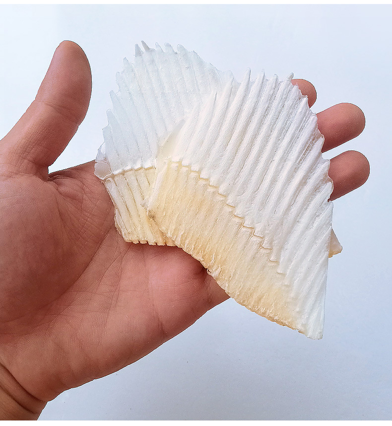 北海特产深海鱼翅软骨煲汤料翅骨炖汤配料骨翅水产干货500g批发