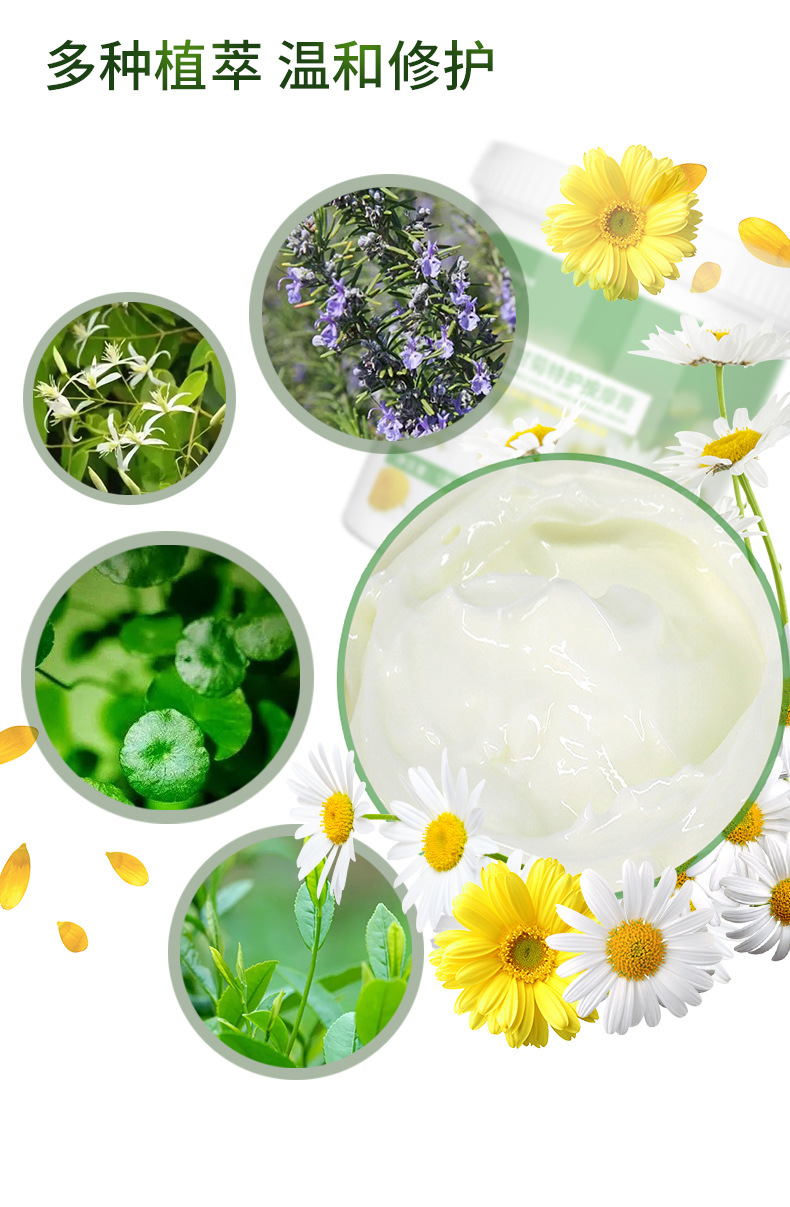 安奈雅洋甘菊特护按摩膏 美容院滋润舒缓修护敏感肌面部按摩膏