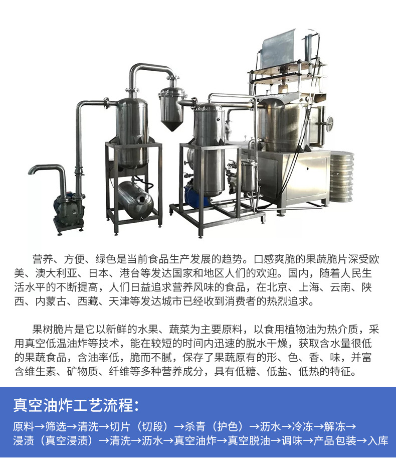 国邦700果蔬脆片油炸机水产品真空油炸机薯条油炸生产线