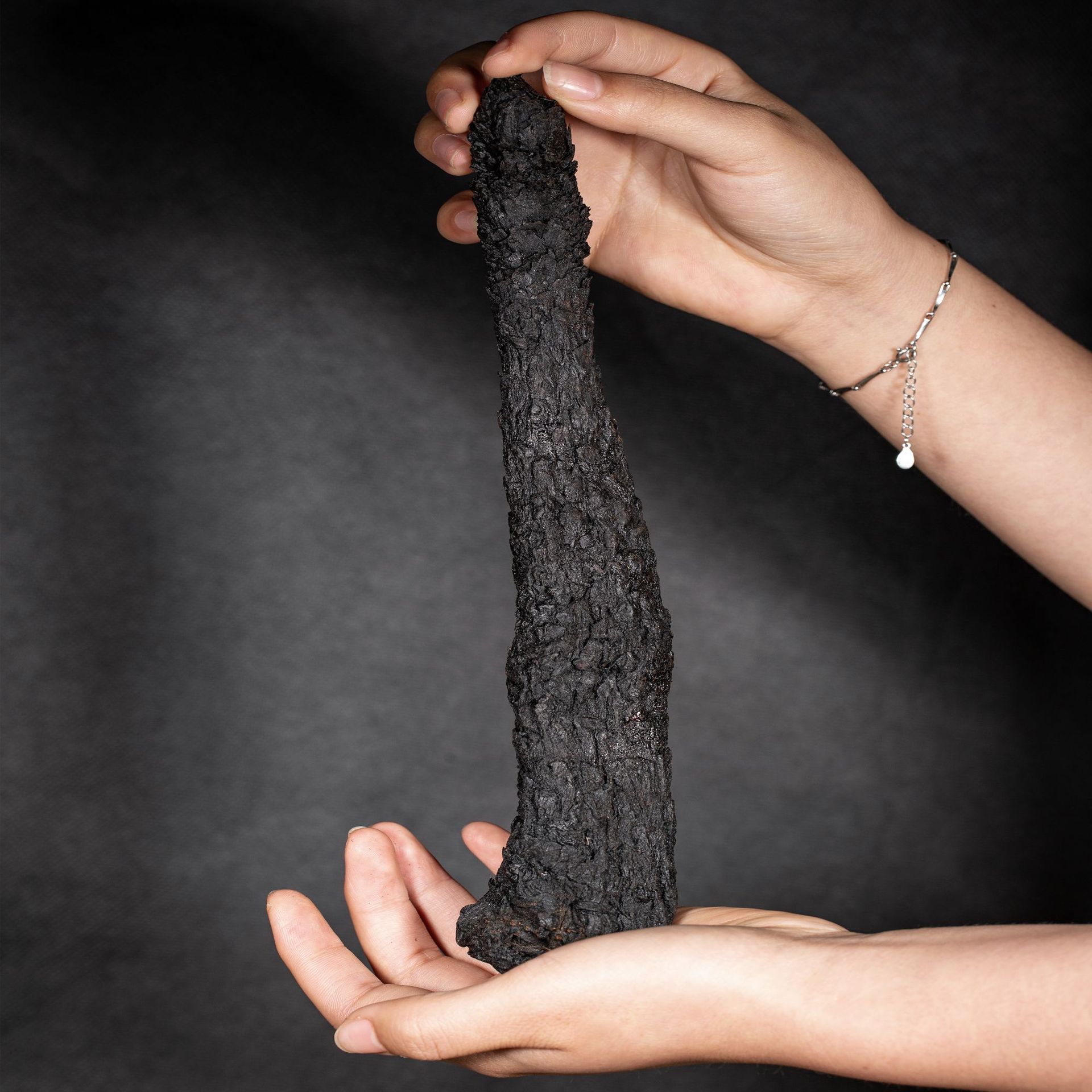 内蒙古肉苁蓉 阿拉善肉苁蓉 油苁蓉 软苁蓉批发 大芸中药材泡酒料