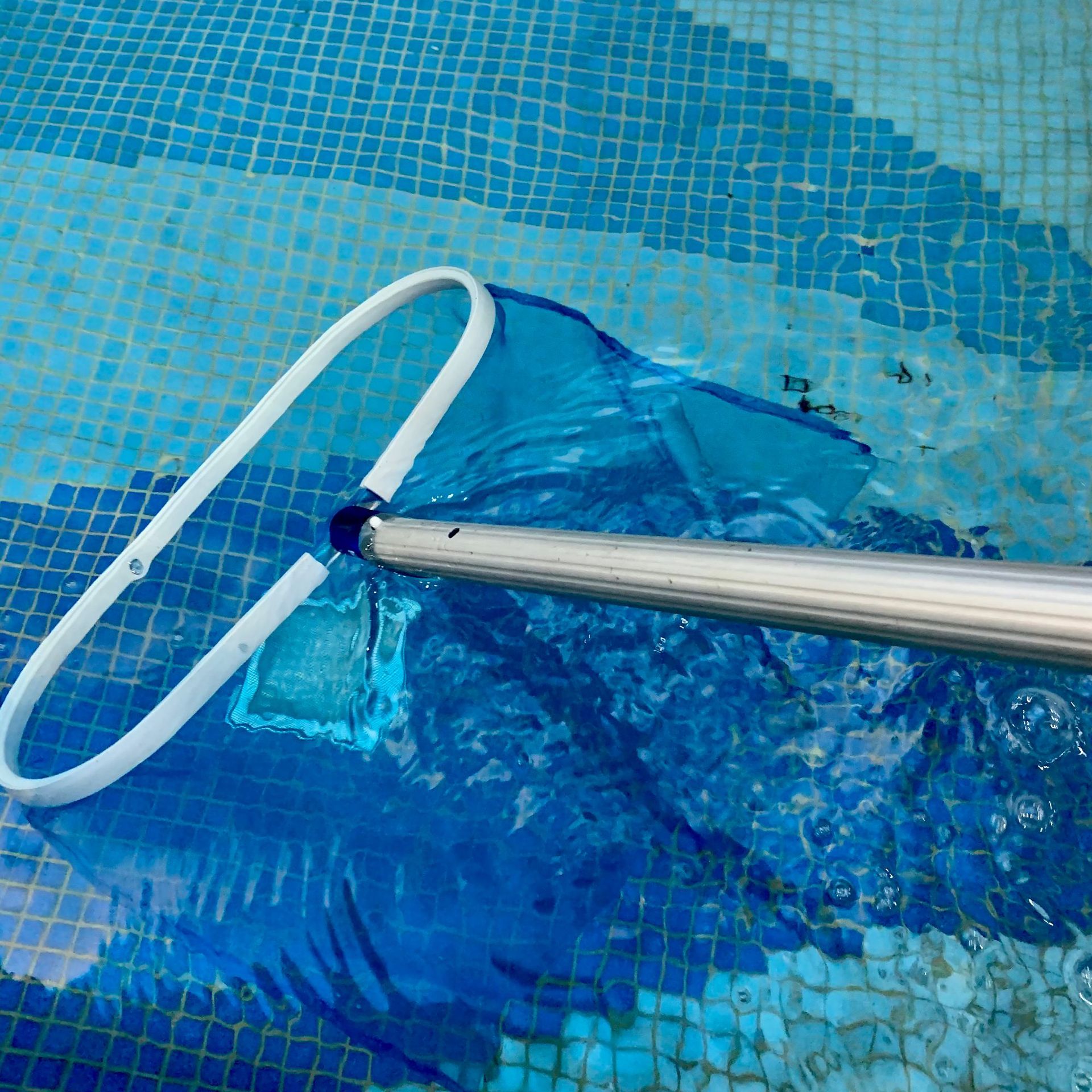 游泳池捞网 鱼池 打捞网 加强深水网 水池捞叶网 游泳池清洁工具