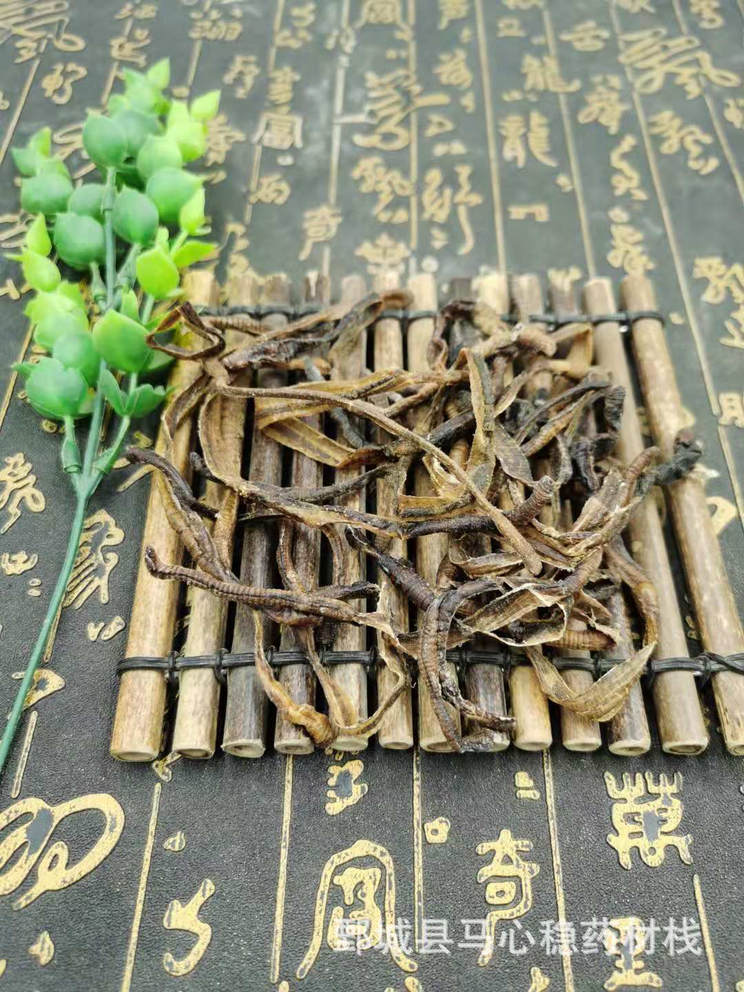 中药材 地龙 产地广西 地龙 小地龙个 种植基地 自产自销