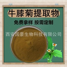 牛膝菊提取物20:1提取物植物提取物 牛膝菊粉 牛膝菊提取物 500克