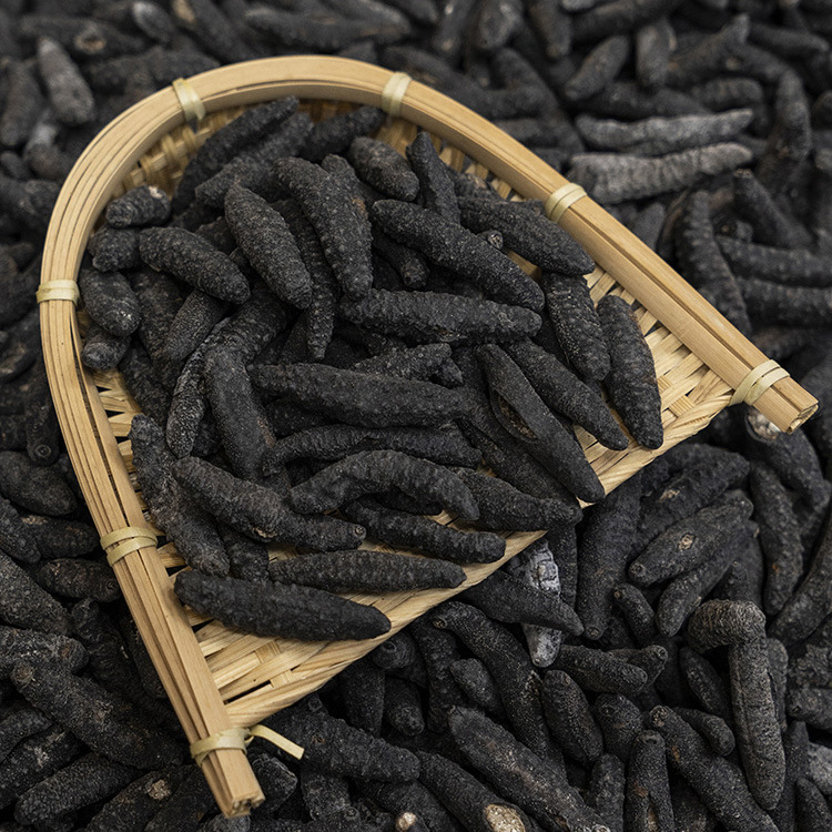 土耳其刺参海参 35-100头小米刺参 一德路海味干货滋补食材批发