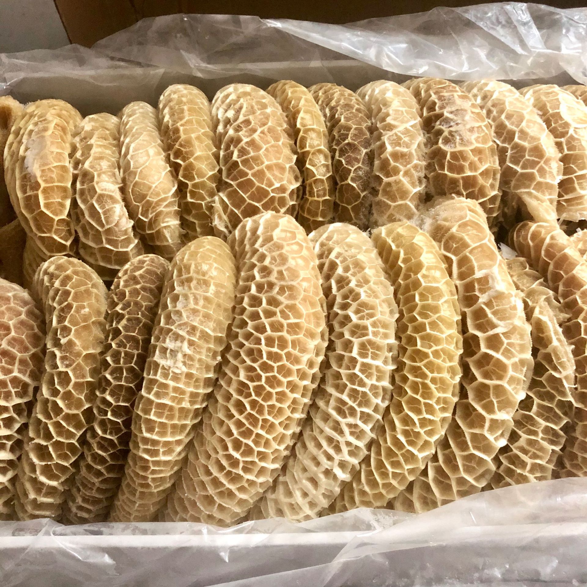 牛肚 牛肉肚 金钱肚 毛肚 牛胃 牛百叶 牛副 冷冻牛肉 1件40斤