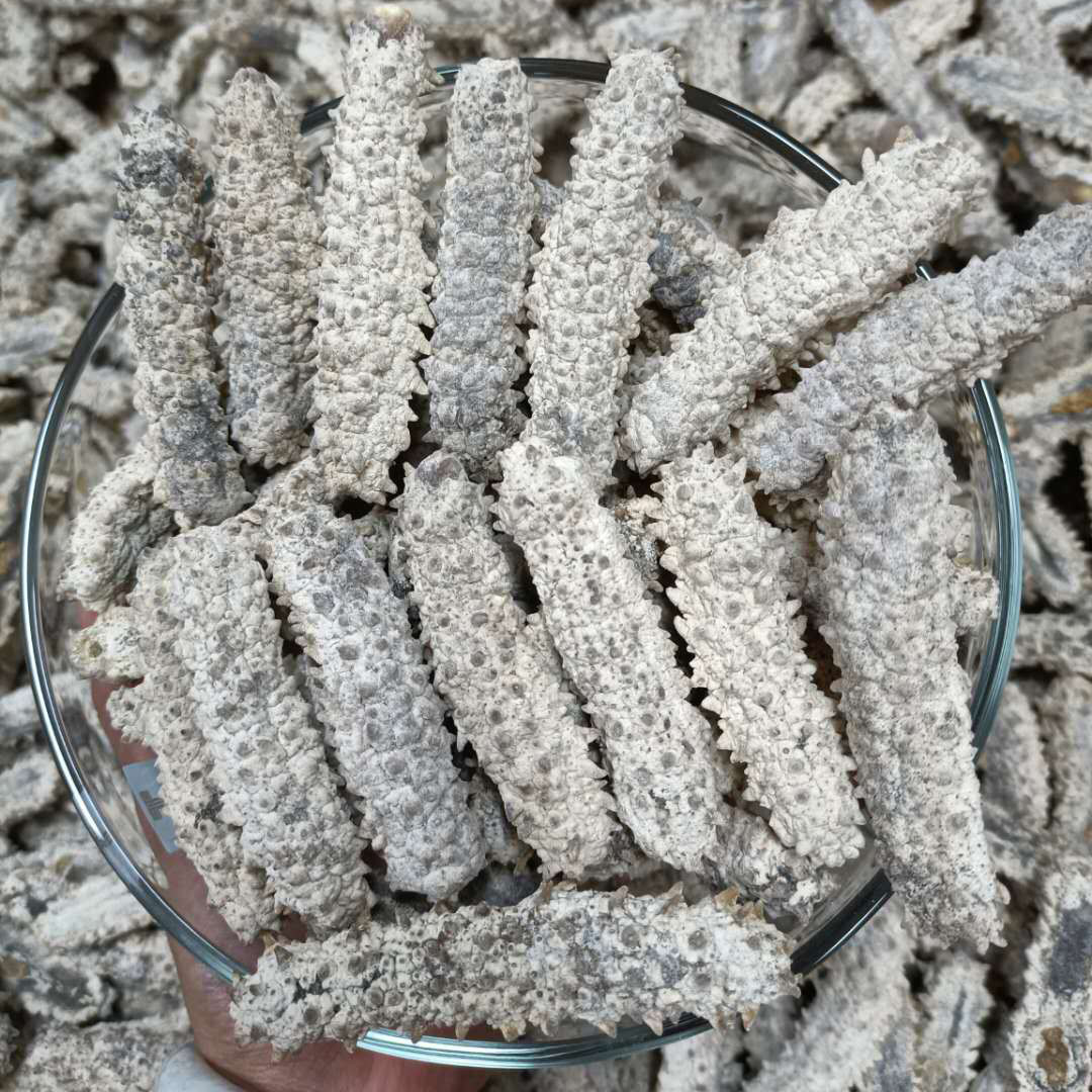 厂家直供足干深海天然白刺参500g礼盒装冻干海参干货250g海味干货