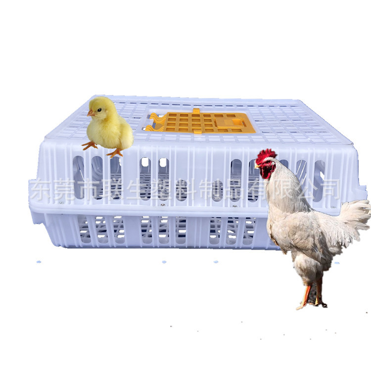 厂家供应湖南塑料鸡笼 鸡框 元宝形周转笼塑胶周转箱 活鸡运输筐