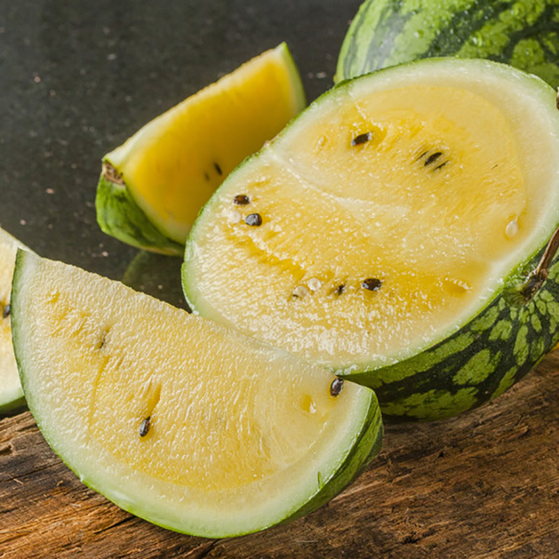 日本金童新小兰西瓜种子大田高产抗病春季秋季早熟四季播盆栽菜孑