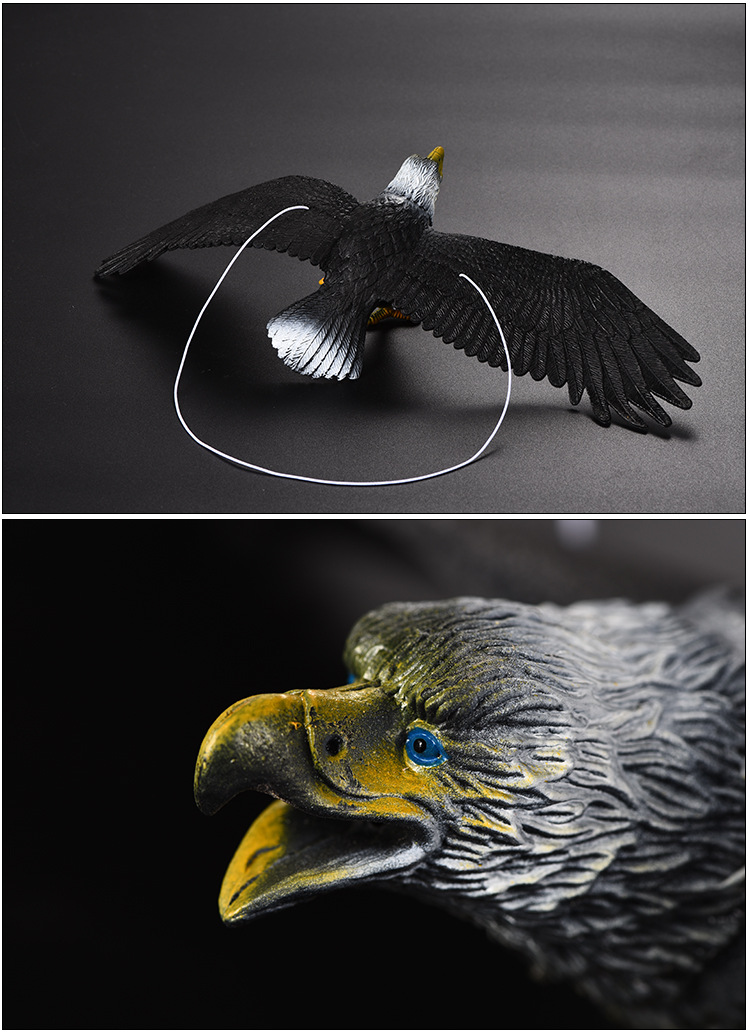 跨境新款老鹰仿真模型玩具 非洲鹰座山雕模型摆件 地摊益智小玩具