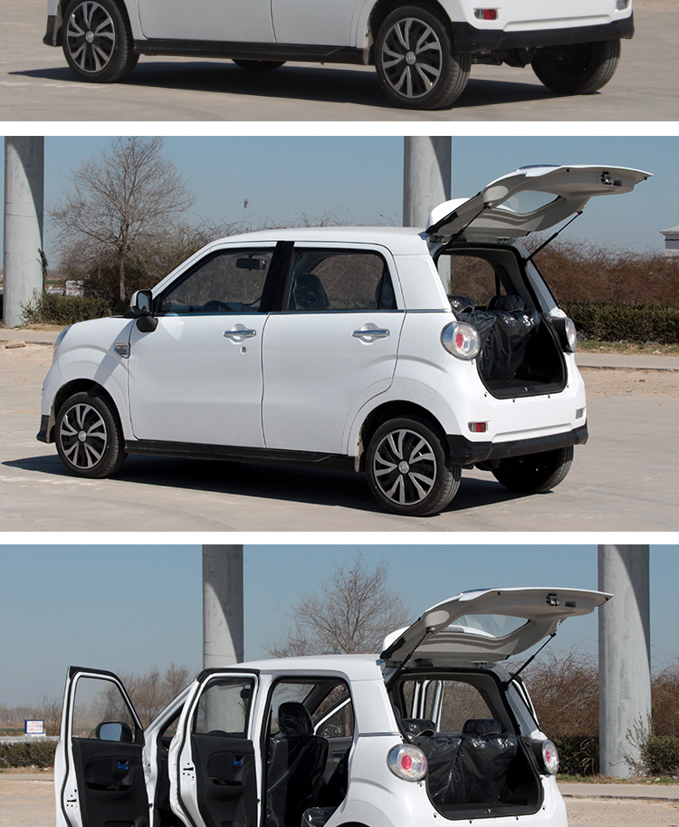 新能源成人四轮车金彭狮子座电动汽车时尚家用代步轿车 油电两用